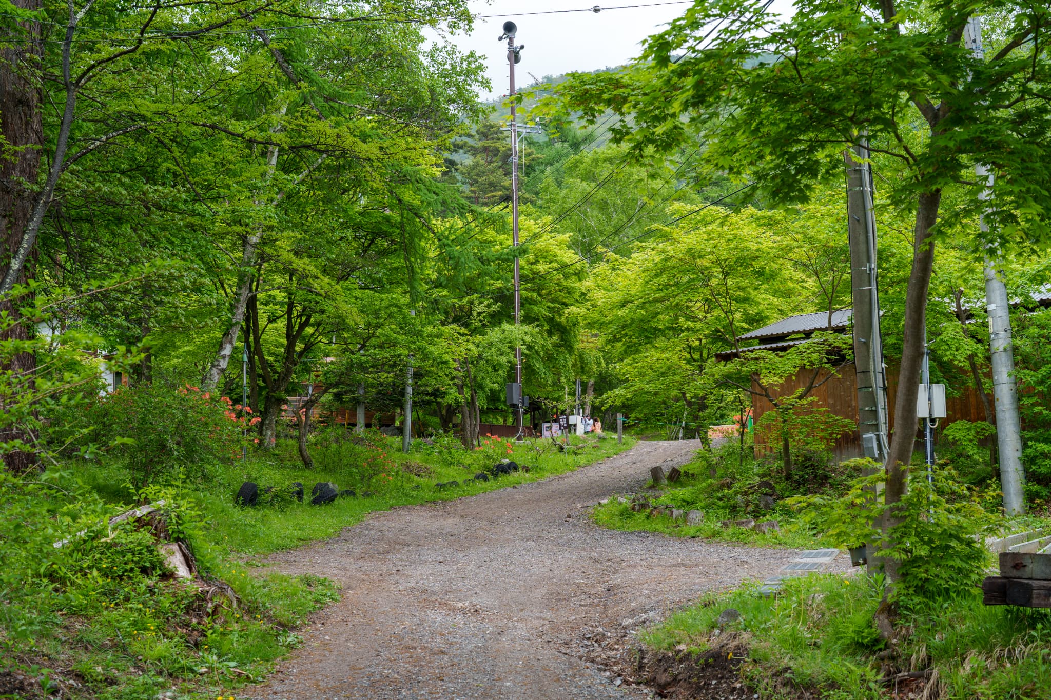 Slide 2